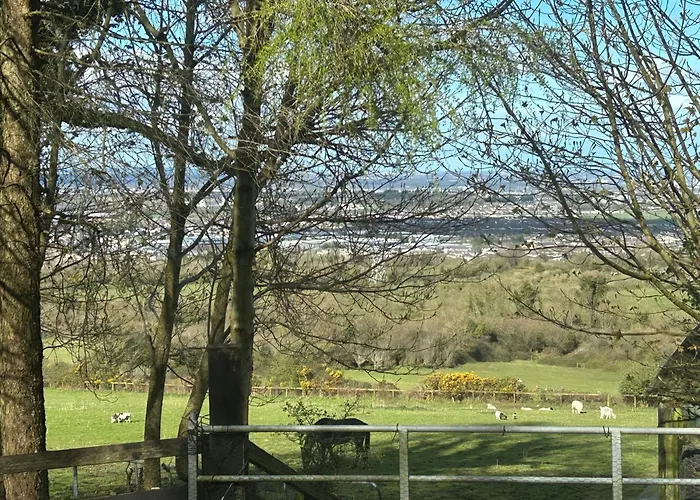 Landhuis Cozy In A Barn With Farm View Dublin