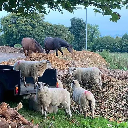 Cozy In A Barn With Farm View *