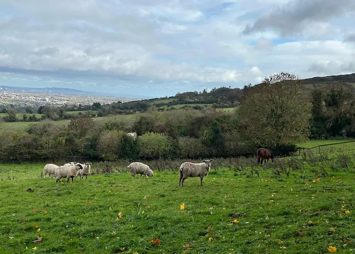 컨트리하우스 Cozy In A Barn With Farm View *