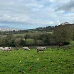בית כפרי Cozy In A Barn With Farm View *