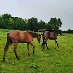 Cozy In A Barn With Farm View דבלין
